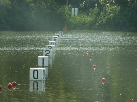 �������� ������ - 2014